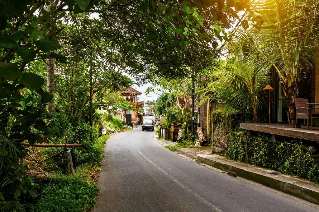 Looks of the street in Bali for stray dogs, illustrating daily rabies risk context.