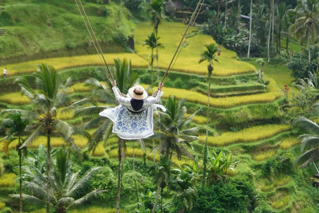 A traveler having an energized exploration in one of rice terraces in Bali
